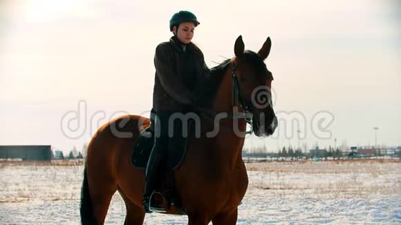 骑着一匹年轻漂亮的马坐在马背上视频的预览图