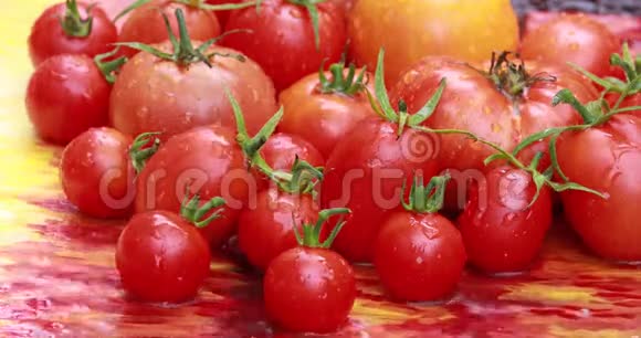 新鲜的西红柿视频的预览图