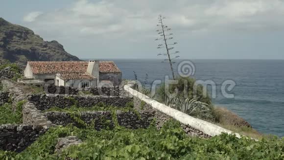 一座火山葡萄园旁的房子视频的预览图