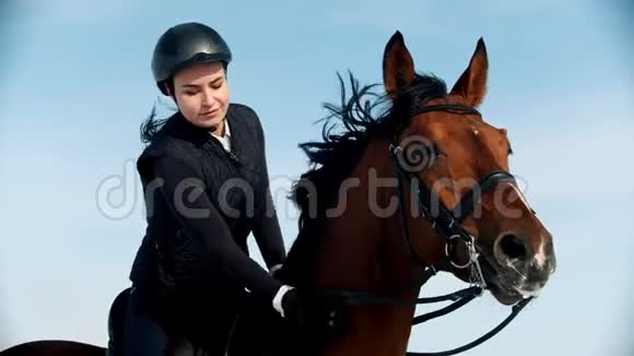 骑马一个骑着黑色鬃毛坐在马背上抚摸她的女人视频的预览图
