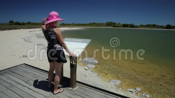 泰蒂斯湖的女人视频的预览图