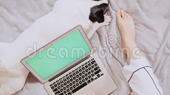 无法辨认的女性平板电脑打字视频的预览图