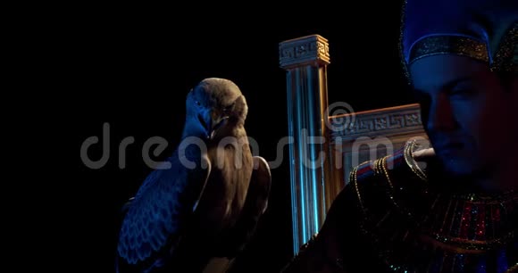 埃及法老坐在他的宝座上有一只野鸟鹰近了4k视频的预览图