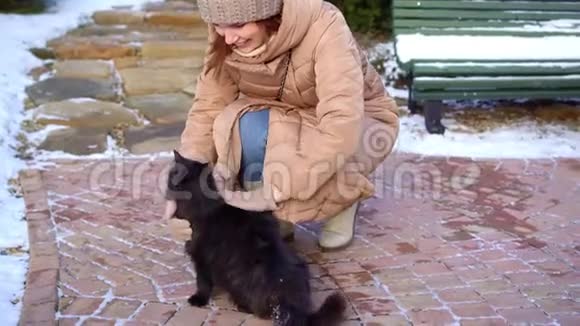 穿着冬天衣服的女孩抚摸着一只黑猫视频的预览图