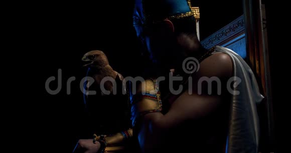 肌肉发达的古埃及统治者手上有一只鹰坐在宝座上4k视频的预览图