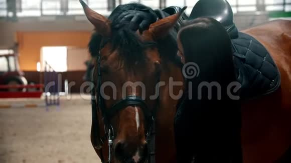竞技场年轻女子抚摸着马的刘海视频的预览图