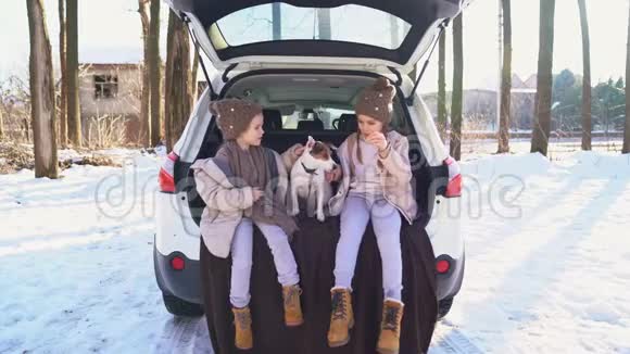 两个姐姐和狗坐在汽车的后备箱里视频的预览图