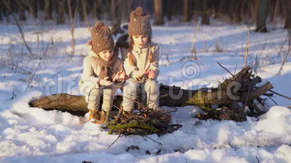 两个姐妹正坐在冬林的篝火旁视频的预览图