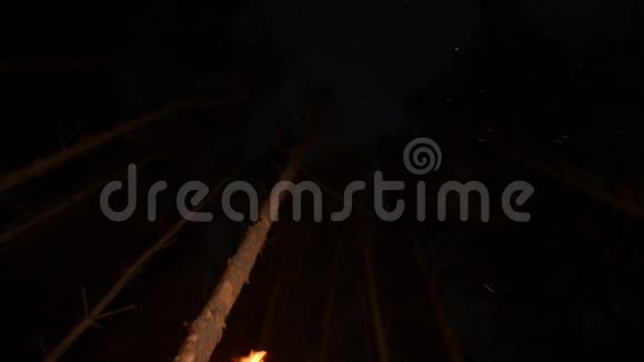 一位年轻的迷路女子晚上站在冬天的森林里手里拿着手工火炬视频的预览图