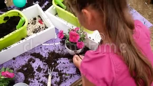 幼儿女儿和母亲在花园里一起在花盆里种植视频的预览图