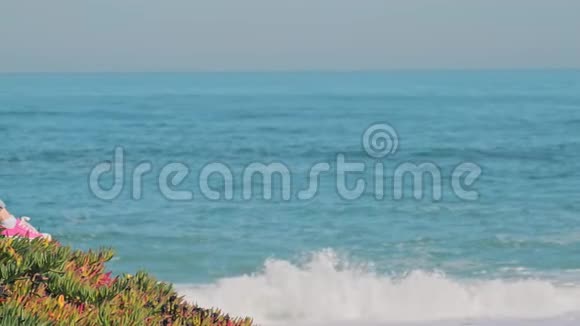 在假日里戴着草帽的女人用笔记本电脑美丽的海岸线视频的预览图