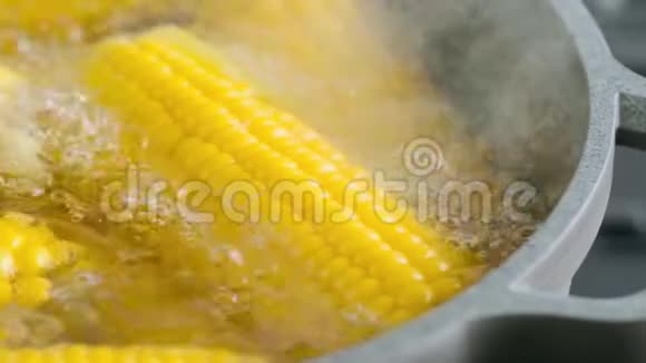 玉米在热水中沸腾视频的预览图