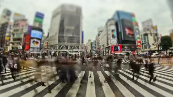 城市行人交通时间过后视频的预览图