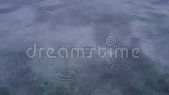雨滴落在平静的湖面上视频的预览图