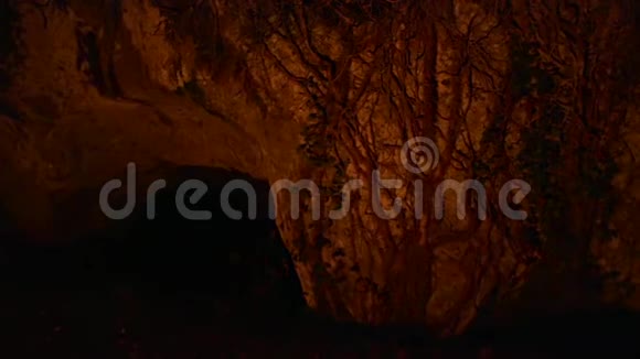 洞穴中的影子SF视频的预览图