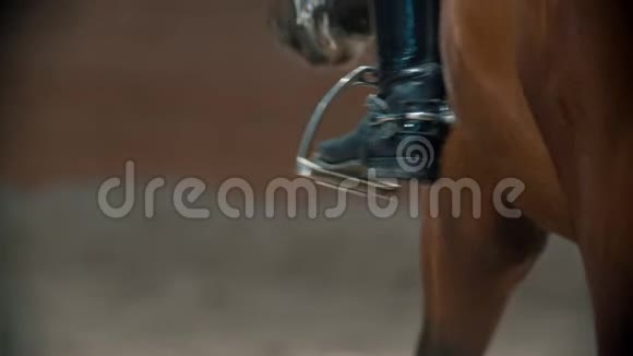 赛马场骑在马背上的一名女骑手在赛马场上走来走去视频的预览图