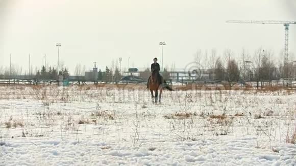 骑马年轻的马女骑着马很快骑在雪地上视频的预览图