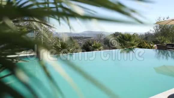 有游泳池棕榈树和山脉背景的美丽景观视频的预览图
