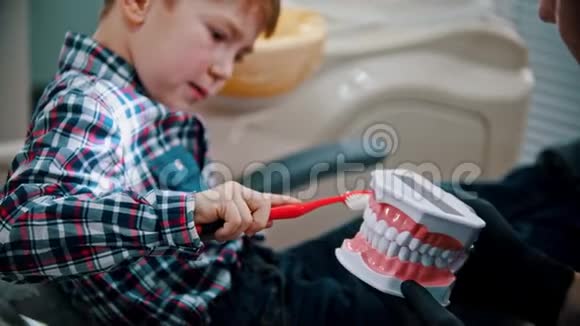 一个在牙科治疗的小男孩那个在下巴模型上刷牙的孩子视频的预览图