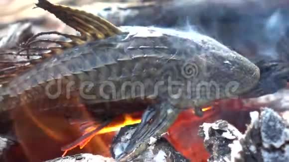 烤鱼着火了视频的预览图