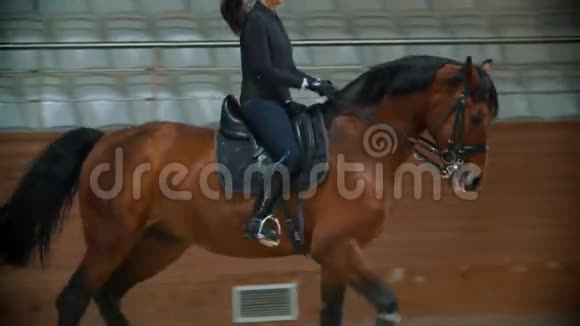 有长发的年轻女子骑着一匹棕色的马骑在马棚里视频的预览图