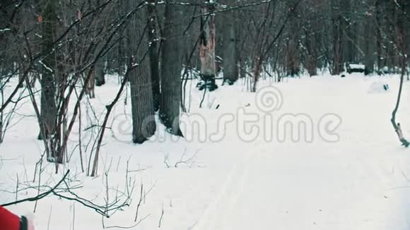 一个身穿红色羽绒服的金发年轻女子在树林里滑雪视频的预览图