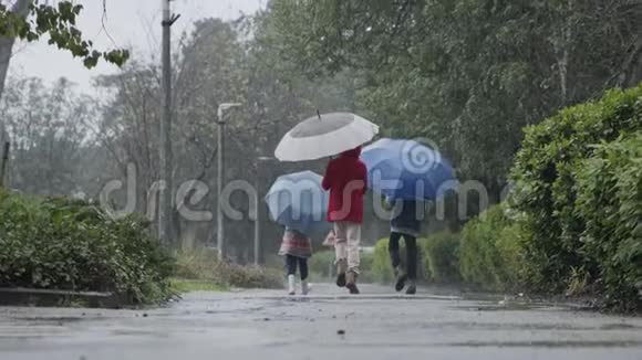 三个孩子在雨中快乐地奔跑拿着雨伞的水坑视频的预览图