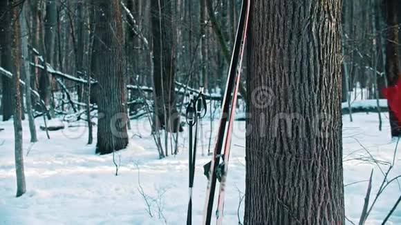 一个穿红色羽绒服的女人在树旁滑雪然后向前走视频的预览图