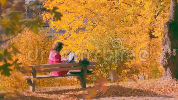 在秋天公园坐在长凳上用笔记本电脑工作的女人视频的预览图