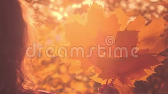 享受秋天的时光金叶在女性手中视频的预览图