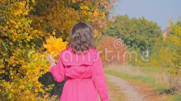 带着秋叶微笑的年轻女子享受秋天的时光视频的预览图