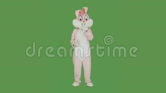 生病复活节兔子检疫吃药药片兔子喝药物止咳糖浆毛绒复活节兔子真人大小视频的预览图