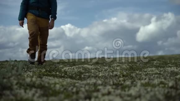 旅行者走在苔原的草地上视频的预览图