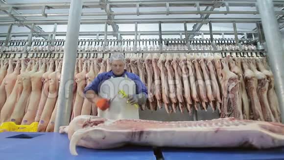 工人用电锯切块猪肉猪肉的脱粘把肉切成块拍摄范围广视频的预览图