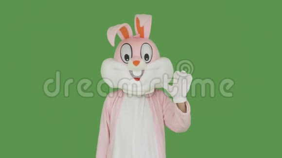 复活节兔子在彩色钥匙绿色屏幕上很伤心复活节兔子手持海报与covid19冠状病毒复活节视频的预览图