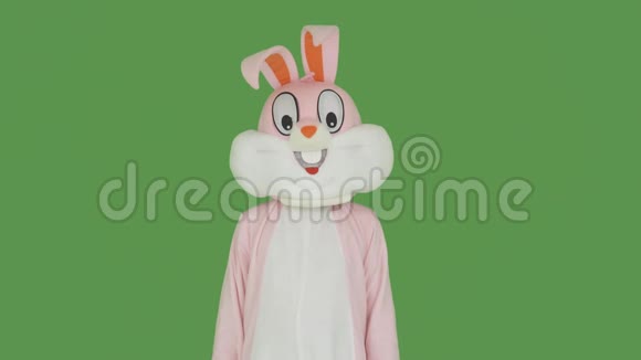 复活节兔子在彩色钥匙上跳舞绿色屏幕复活节兔子手里拿着空白的海报宽幅表海报冲洗视频的预览图