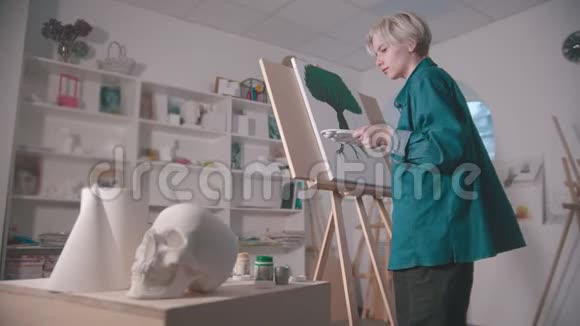 一位年轻的女艺术家在艺术工作室里画画一个头骨和桌子上的其他人物视频的预览图