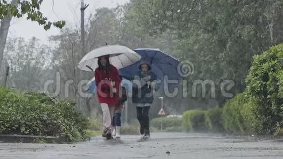 三个孩子在雨中快乐地奔跑拿着雨伞的水坑视频的预览图