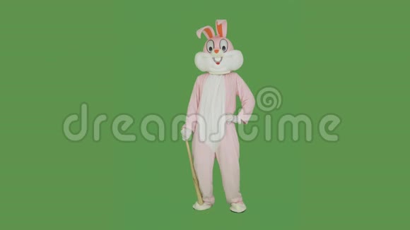 复活节兔子打棒球在彩色钥匙上拍棒球棒绿色屏幕毛绒复活节兔子真人大小套装或视频的预览图