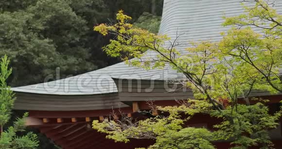 日本的森林小径有桥视频的预览图