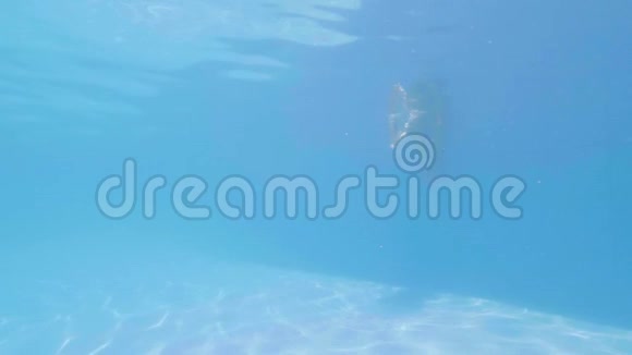 运动员在游泳池水下跳跃男子游泳者在泳镜下潜水视频的预览图