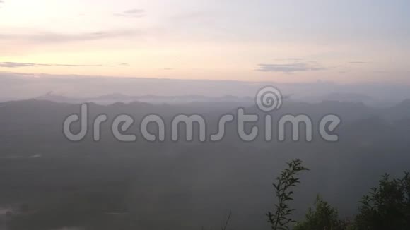 雾穿过森林背景视频的预览图