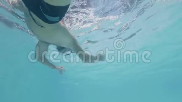 水下观景青年戴护目镜在蓝水池游泳长胡子的游泳运动员在游泳池慢动作视频的预览图