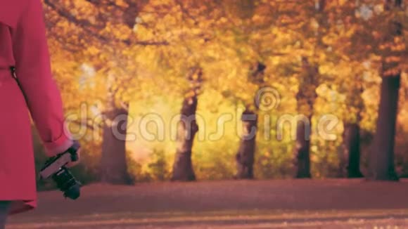 秋天公园里戴着照相机的红色斗篷的年轻时髦女人视频的预览图