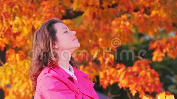 年轻女子带着一束黄色的秋叶享受着秋天的时光视频的预览图