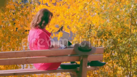 秋天公园里坐在长椅上的女人拿着笔记本电脑视频的预览图