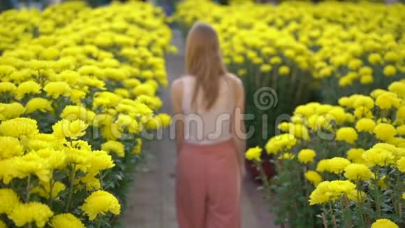 一个年轻的女人走在许多黄色的花中东亚人成长为庆祝农历新年旅费视频的预览图