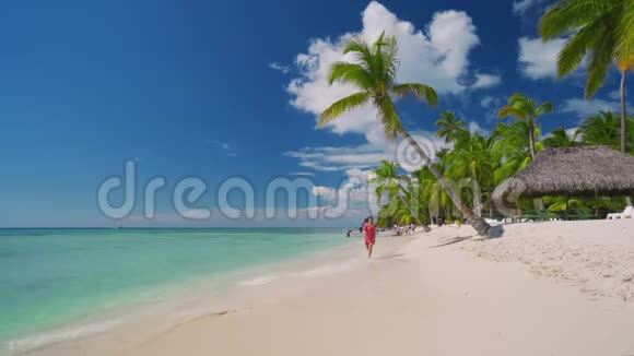 多米尼加共和国索纳岛和加勒比海滩快乐无忧无虑的妇女享受暑假视频的预览图