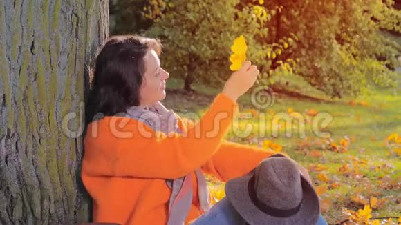 美丽的女人透过秋天公园的黄秋叶看太阳视频的预览图