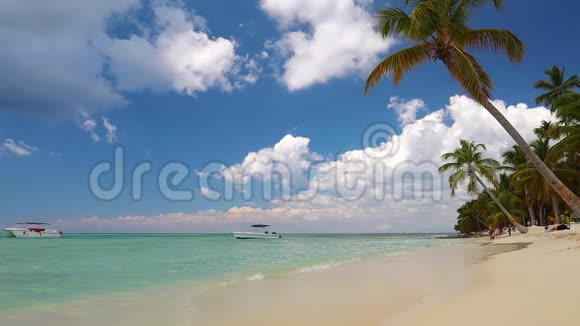 热带加勒比岛屿索纳多米尼加共和国美丽的海滩棕榈树和清澈的海水视频的预览图